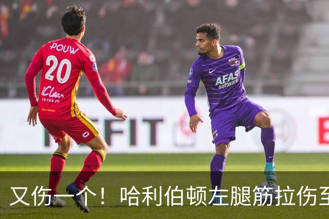 又伤一个！哈利伯顿左腿筋拉伤至少缺席2周