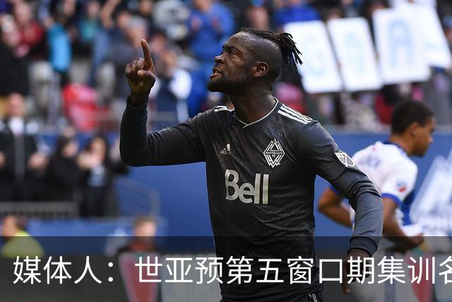 媒体人：世亚预第五窗口期集训名单已定，祝福他们