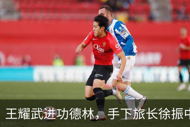王耀武进功德林，手下旅长徐振中被许世友点名枪决，宽大政策因何独对他例外